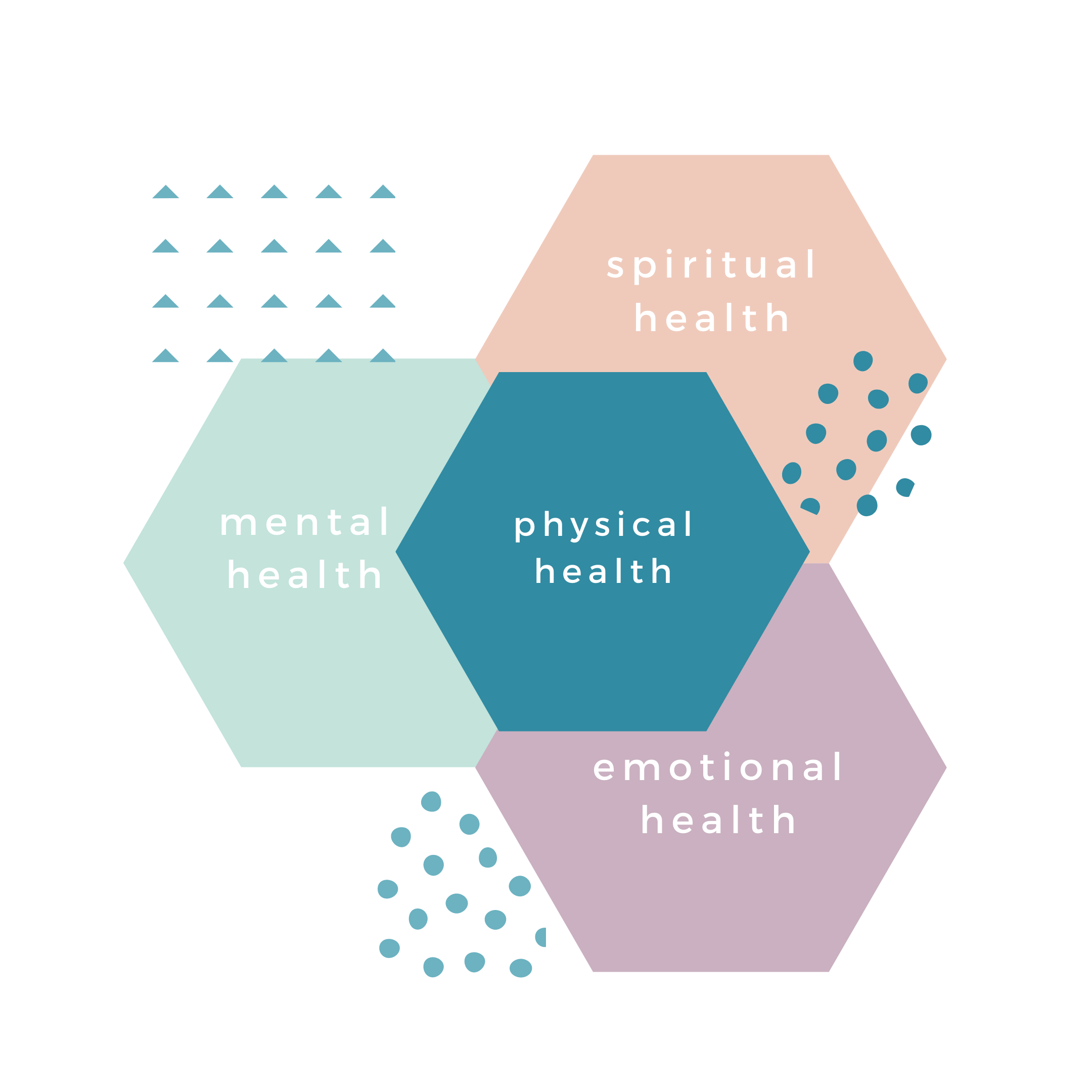 holistic health hexagon image